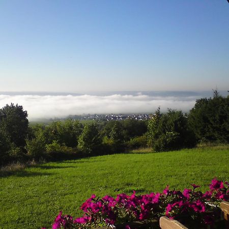 Zum Rebhang Bed & Breakfast Oestrich-Winkel Zewnętrze zdjęcie