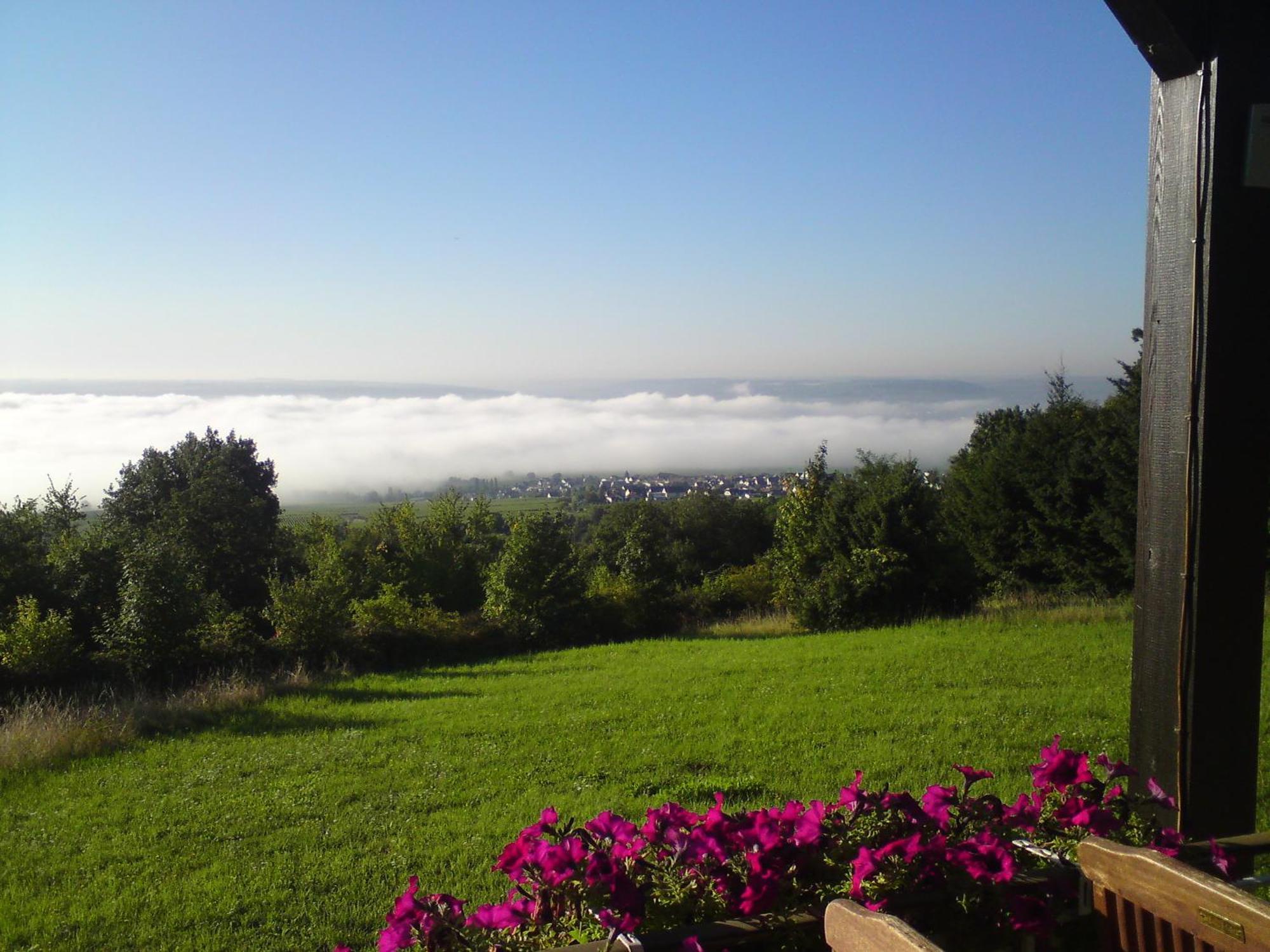 Zum Rebhang Bed & Breakfast Oestrich-Winkel Zewnętrze zdjęcie